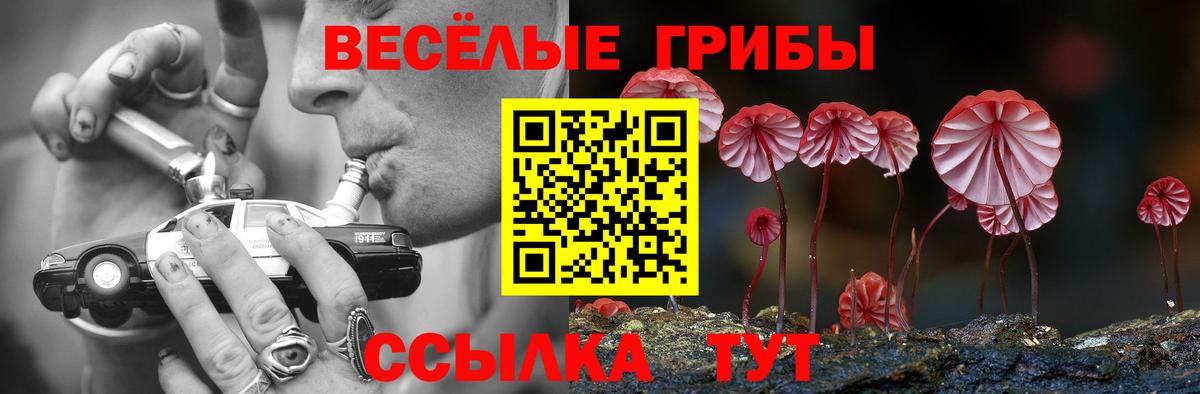 Псилоцибиновые грибы Cubensis  Вход с VPN  наркотики  Клин 