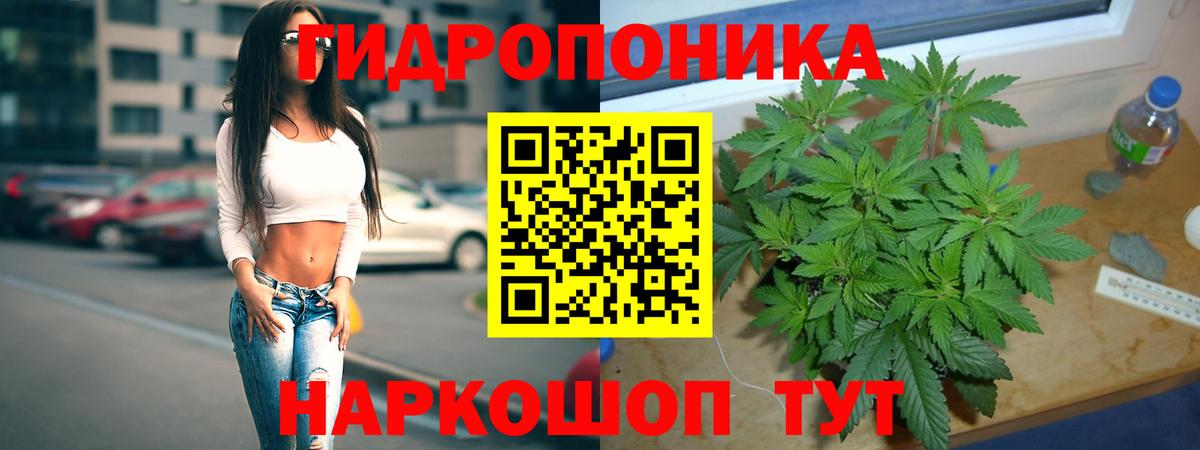 Шишки марихуана планчик  Вход с VPN  Бошки марихуана Bruce Banner  Бошки марихуана MAZAR  Клин 